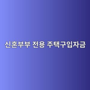 신혼부부 전용 주택구입자금(디딤돌) 대출 소득 기준과 집값 한도 총정리 8 ec8ba0ed98bcebb680ebb680 eca084ec9aa9 eca3bced839deab5acec9e85ec9e90eab888 1787084074