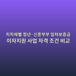 지자체별 청년·신혼부부 임차보증금 이자지원 사업 자격 조건 비교 6 eca780ec9e90ecb2b4ebb384 ecb2adeb8584c2b7ec8ba0ed98bcebb680ebb680 ec9e84ecb0a8ebb3b4eca69deab888 ec9db4ec9e90eca780ec9b90 ec82acec9785 1787084231